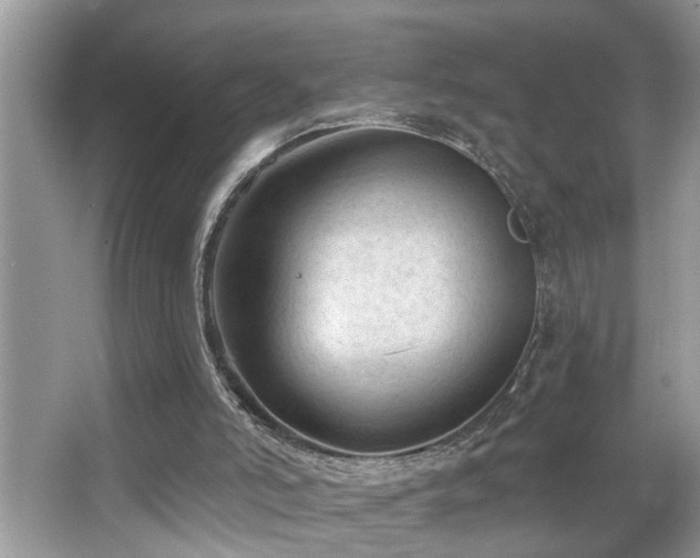 X0000067510006200604071304