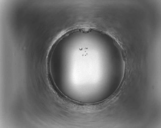 X0000067510008200604071304