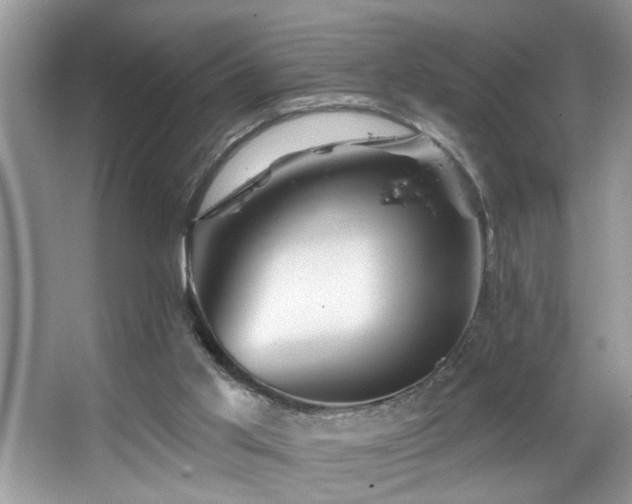 X0000067510013200604071304
