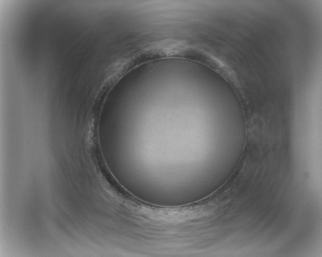 X0000067510018200604071304