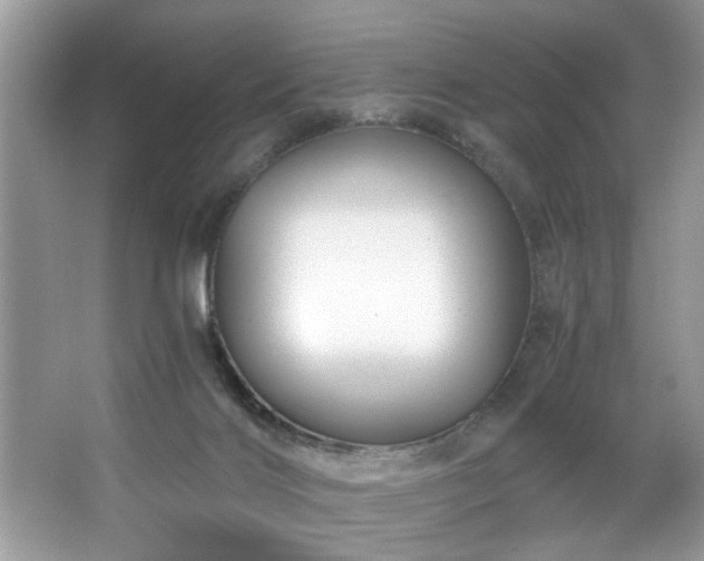 X0000067510028200604071304