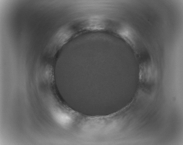X0000067510029200604071304