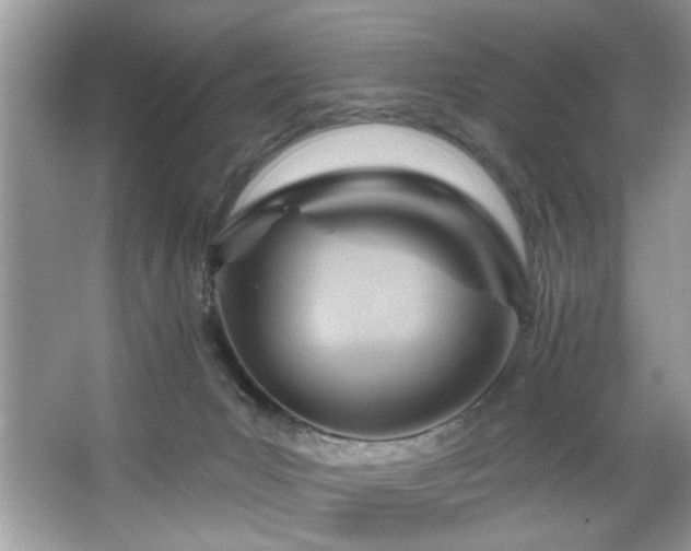X0000067510031200604071303
