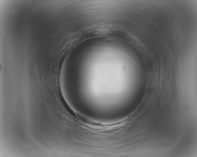 X0000067510035200604071303