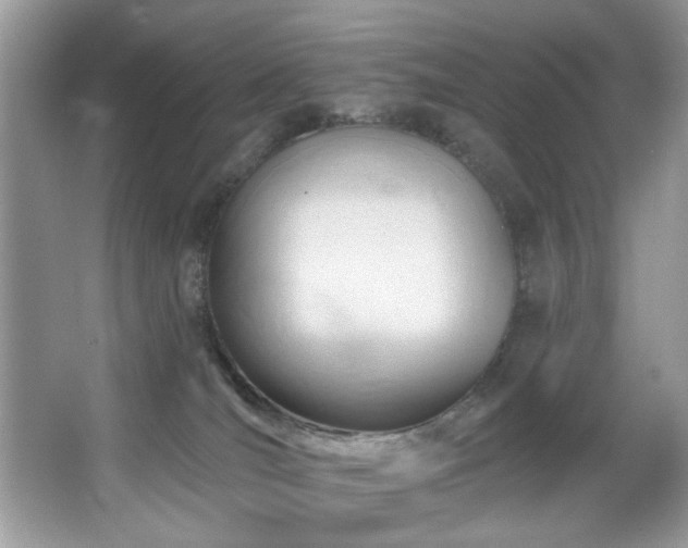 X0000067510036200604071303