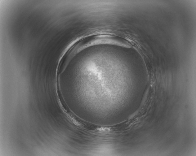X0000067510052200604071302