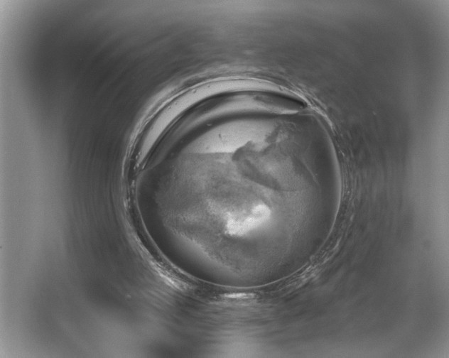 X0000067510053200604071302