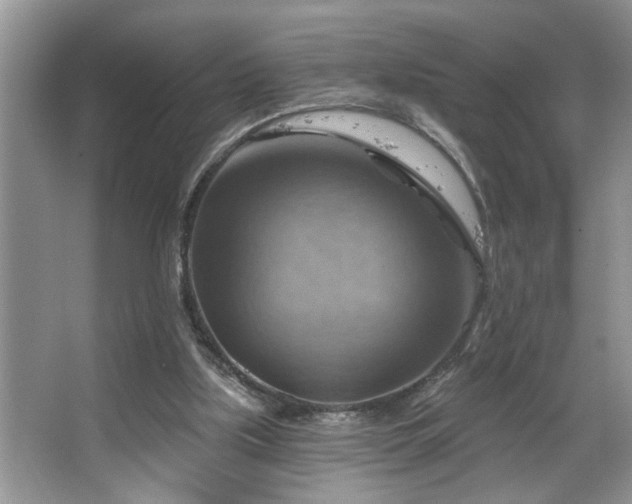 X0000067510059200604071303
