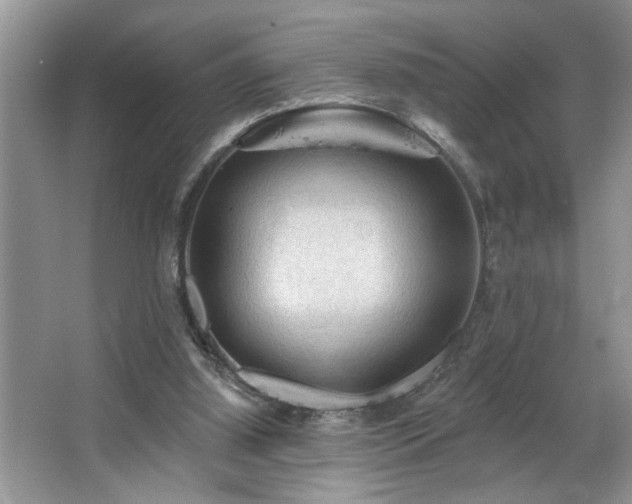 X0000067510060200604071303
