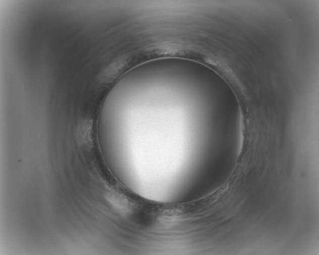 X0000067510066200604071303