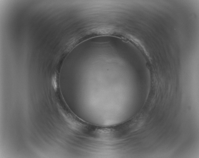 X0000067510069200604071303