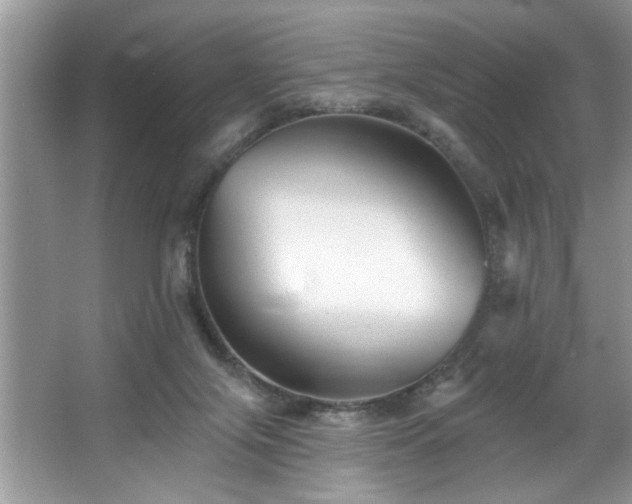 X0000067510071200604071303