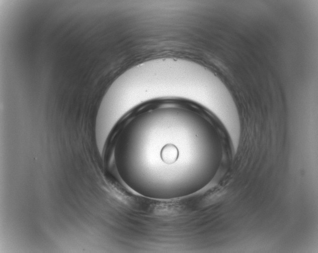 X0000067510077200604071303