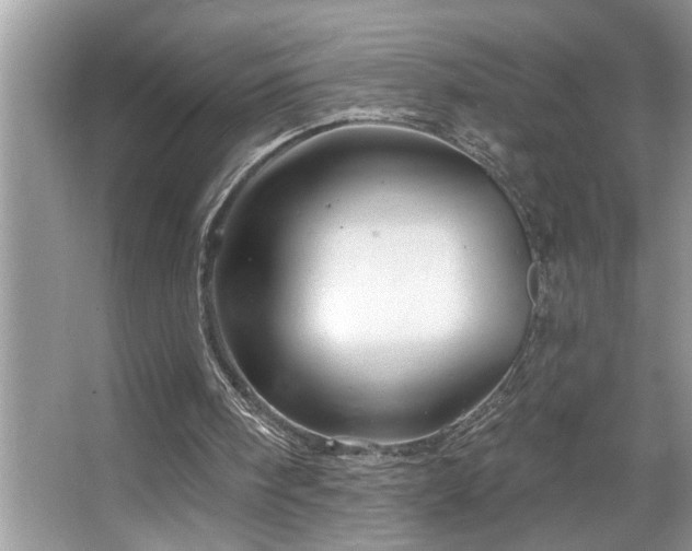 X0000067510098200604071302