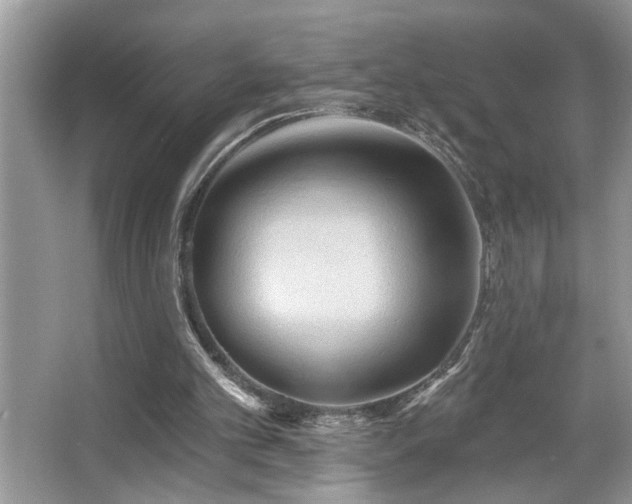 X0000067510101200604071302