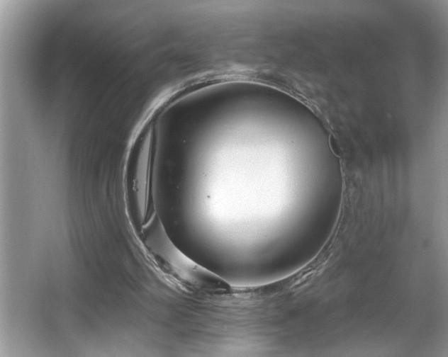 X0000067510102200604071302