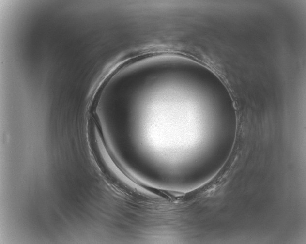X0000067510103200604071302