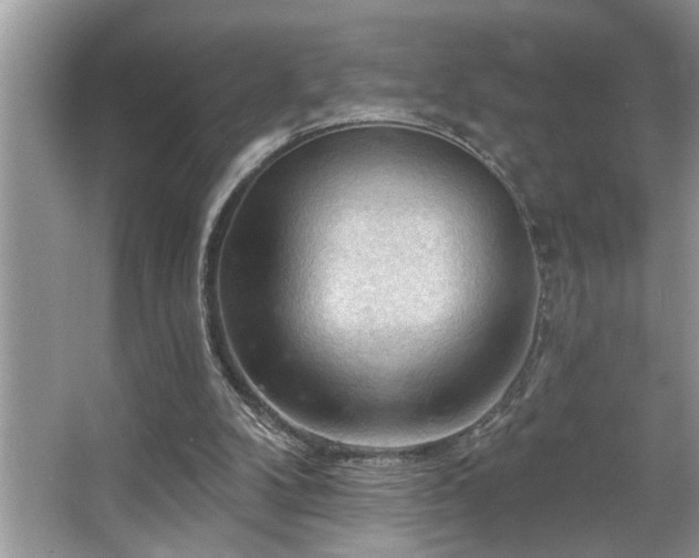 X0000067510104200604071302