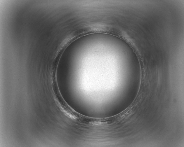 X0000067510106200604071302