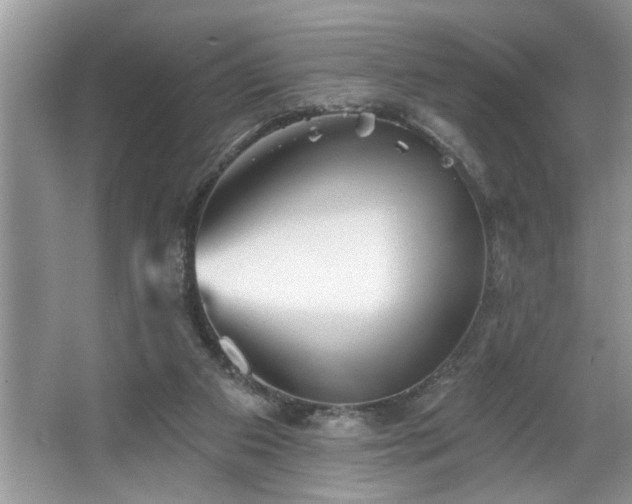 X0000067510113200604071302