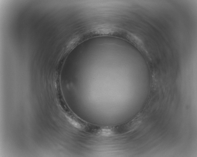 X0000067510114200604071302