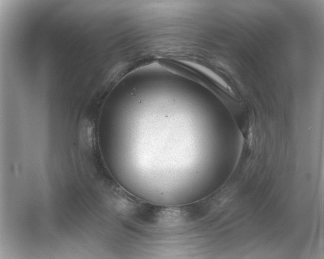 X0000067510123200604071302
