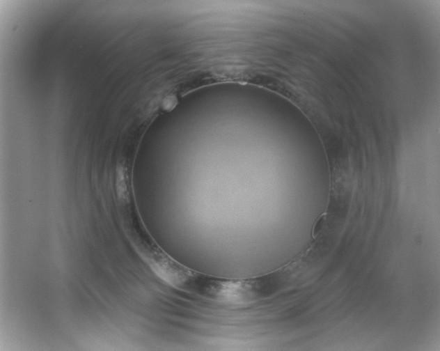 X0000067510130200604071302