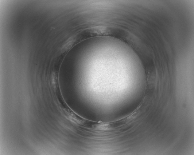 X0000067510132200604071302