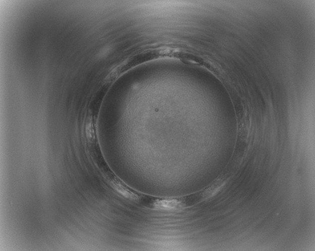 X0000067510137200604071302