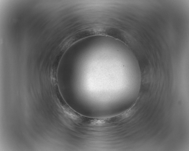 X0000067510140200604071302