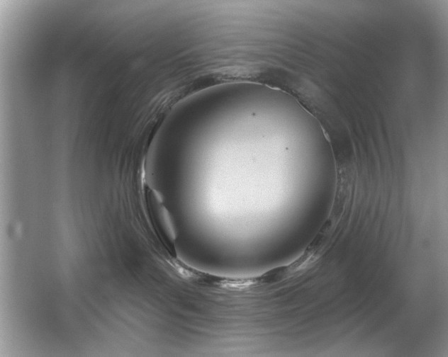 X0000067510143200604071302