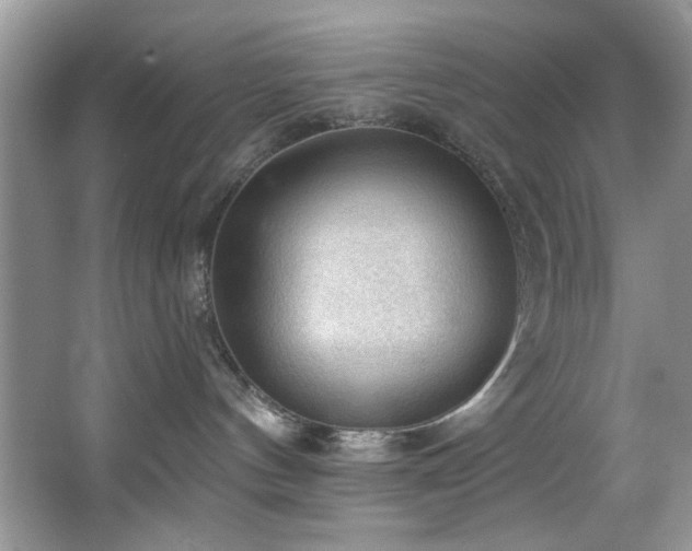 X0000067510144200604071302