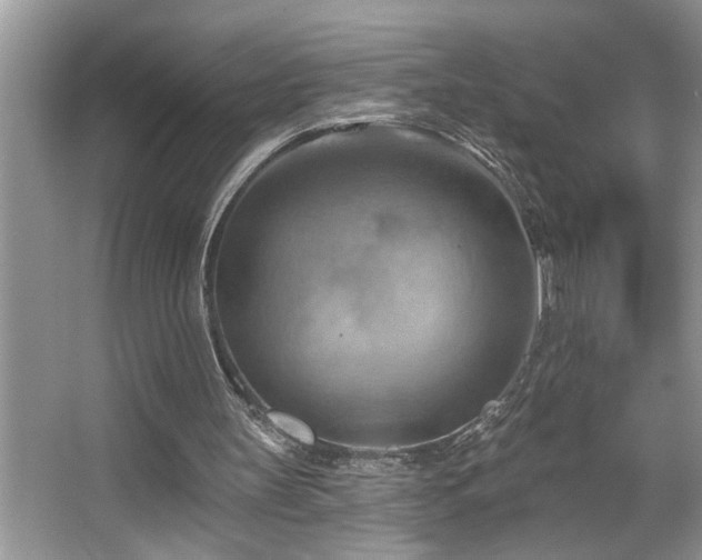 X0000067510147200604071301