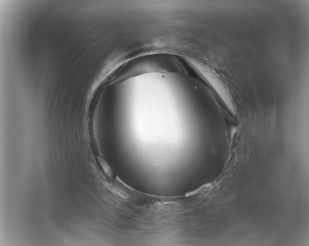 X0000067510150200604071301