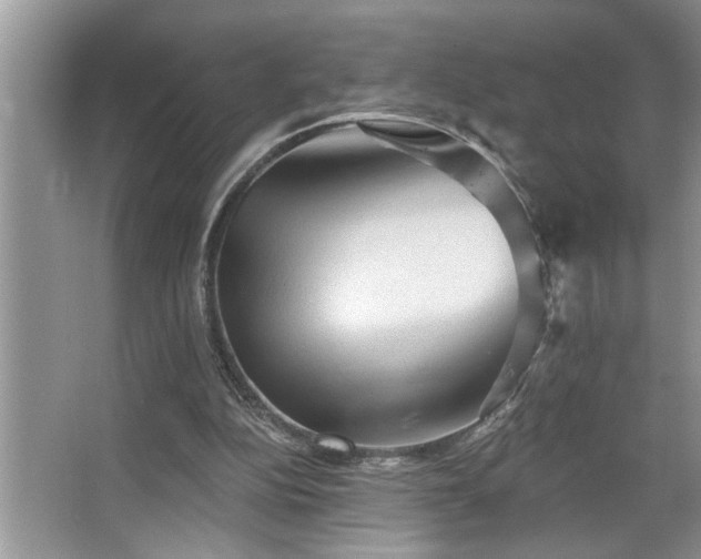 X0000067510152200604071301