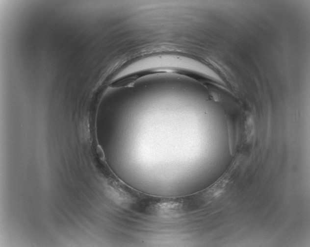 X0000067510158200604071301