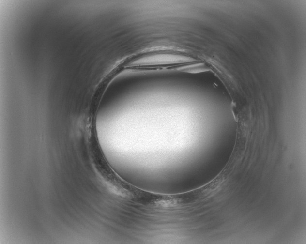 X0000067510160200604071301