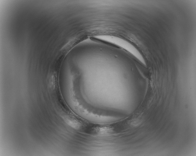 X0000067510165200604071301