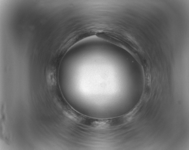 X0000067510170200604071301