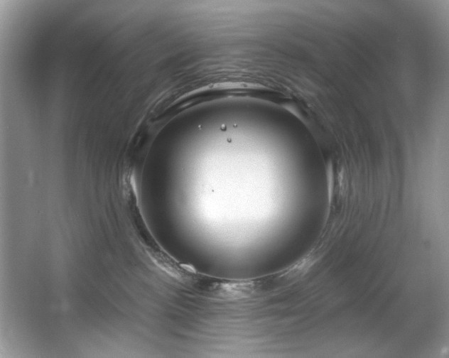 X0000067510188200604071302