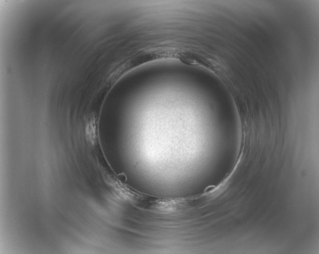 X0000067510190200604071302