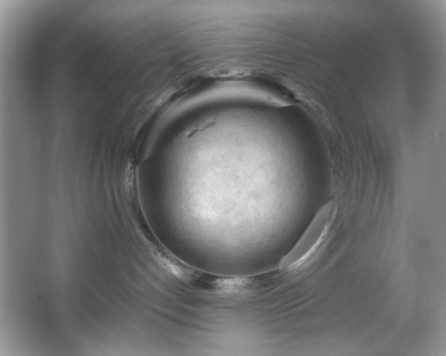 X0000067510192200604071302