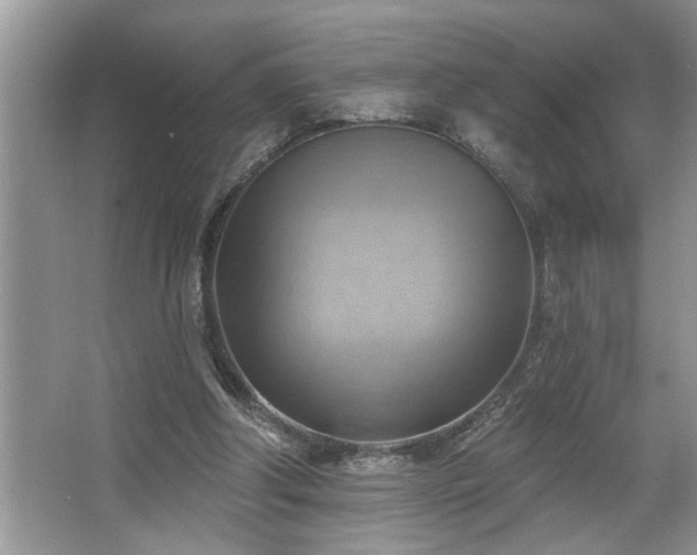 X0000067510202200604071301
