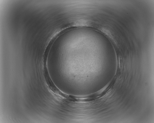 X0000067510204200604071301