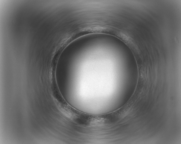 X0000067510206200604071301