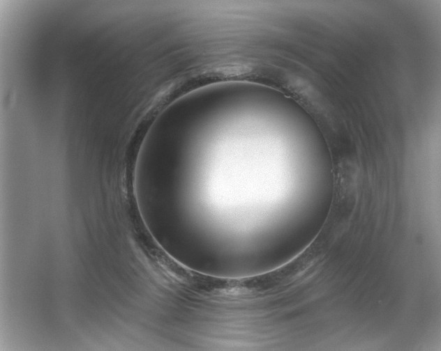 X0000067510212200604071300