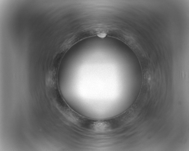 X0000067510218200604071300