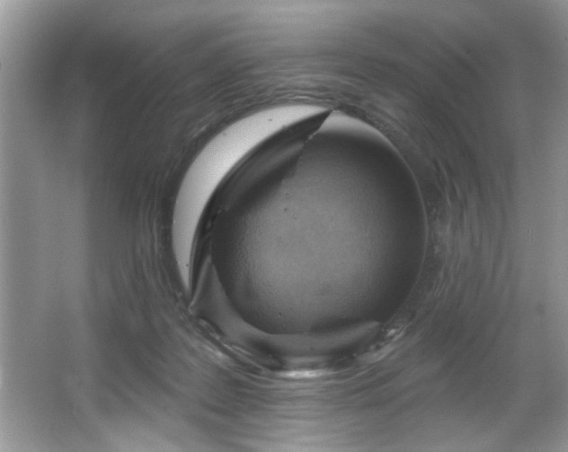 X0000067510219200604071300