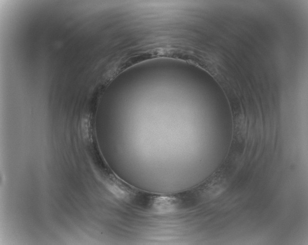 X0000067510222200604071300