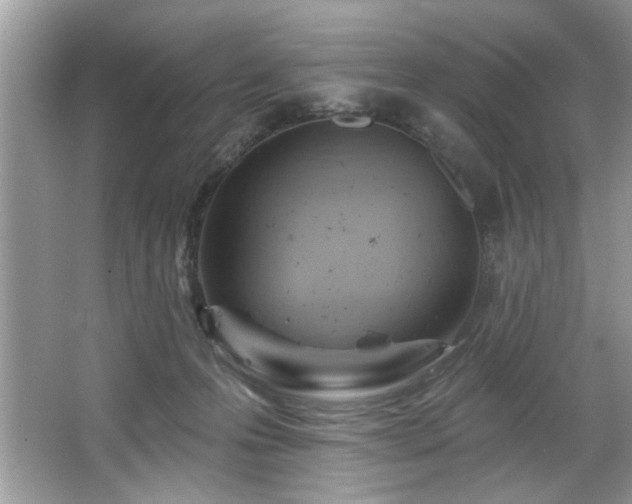 X0000067510223200604071300